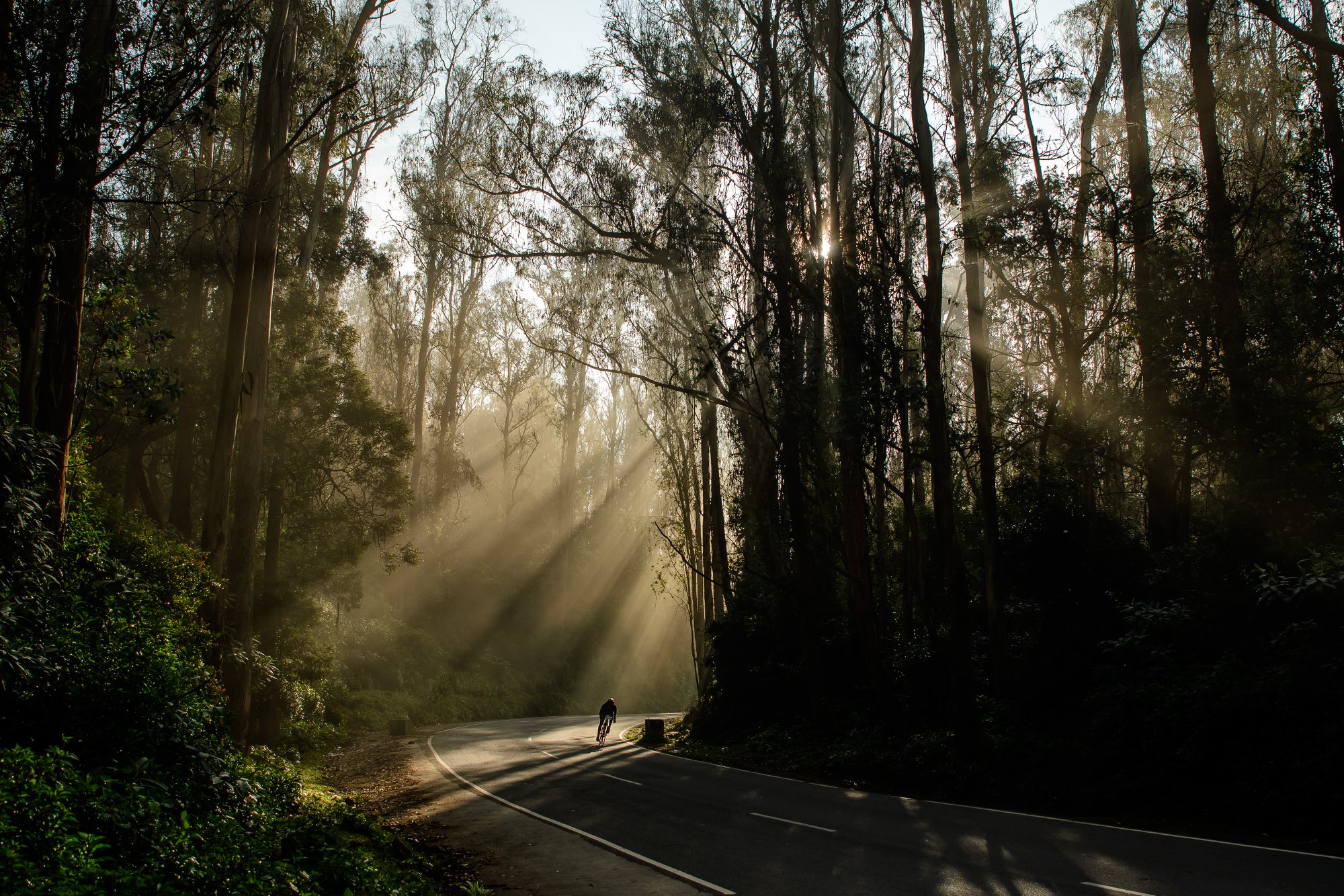 Cycling in the Nilgiris in 2018